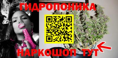 амф Краснознаменск